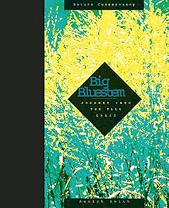 Big Bluestem