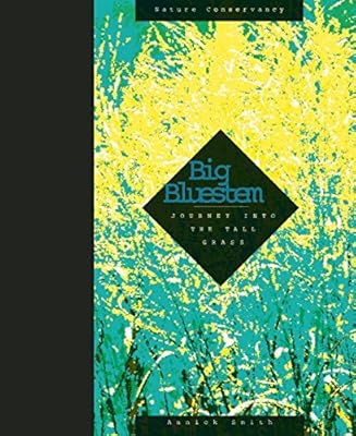 Big Bluestem