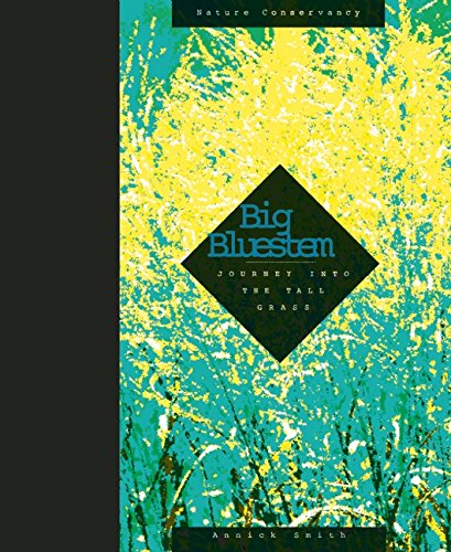Big Bluestem by Annick Smith
