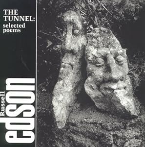 The Tunnel: Selected Poems (Field Poetry Series) (Field Editions Series No 3)