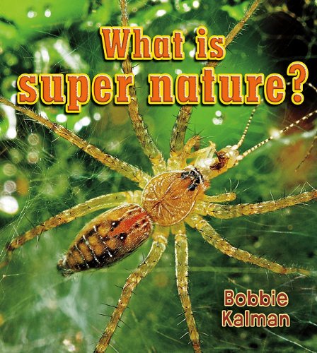 What Is Super Nature? (Big Science Ideas) by Bobbie Kalman