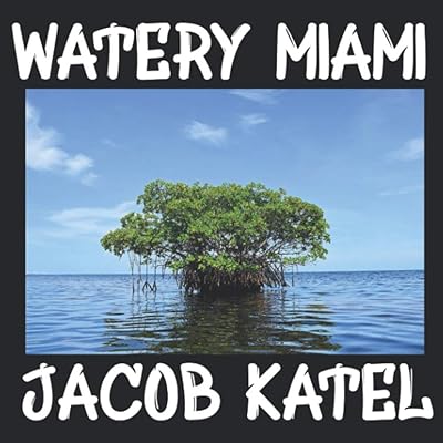 Watery Miami