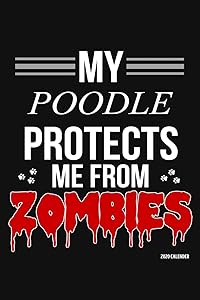 My Poodle Protects Me From Zombies 2020 Calender: Poodle 2020 Calender