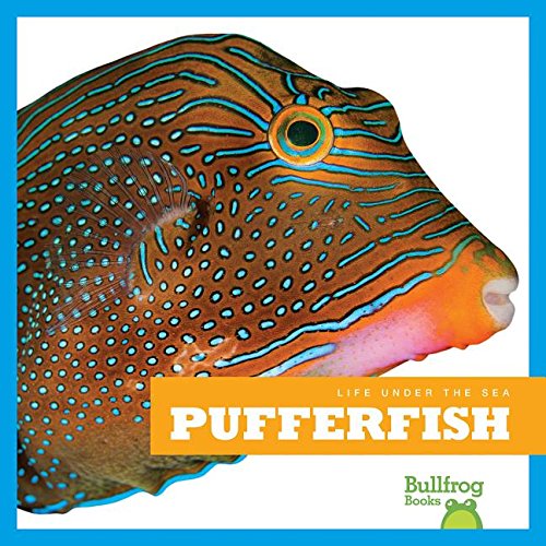 Pufferfish by Mari Schuh