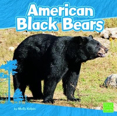 American Black Bears
