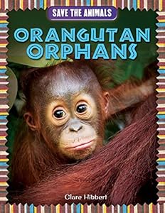 Orangutan Orphans