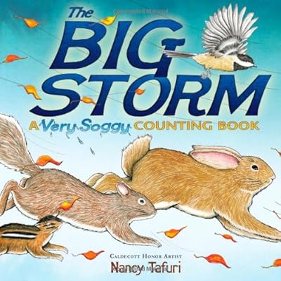The Big Storm: A Very Soggy Counting Book
