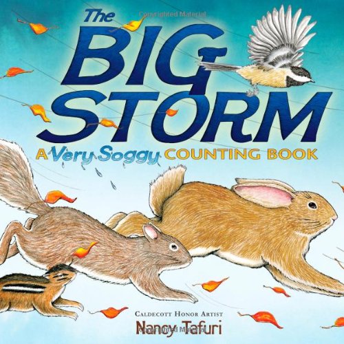 The Big Storm: A Very Soggy Counting Book by Nancy Tafuri