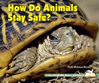 How Do Animals Stay Safe?