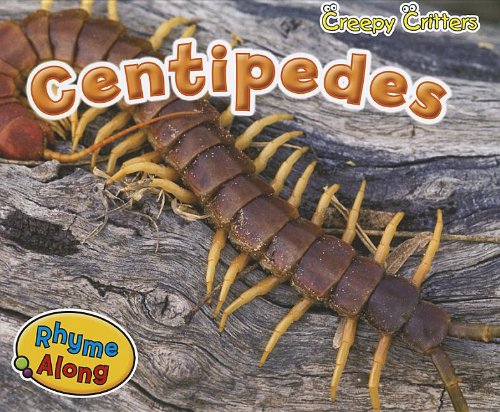 Centipede by Rebecca Rissman