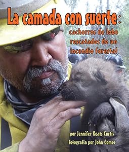 La camada con suerte: cachorros de lobo rescatados de un incendio forestal
