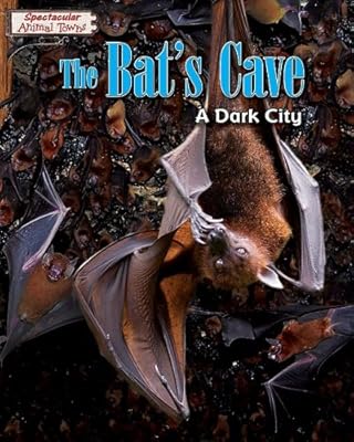 The Bat's Cave: A Dark City