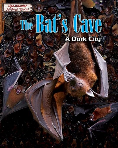 The Bat's Cave: A Dark City by Joyce Markovics