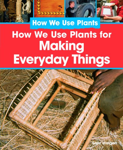How We Use Plants For Making Everyday Things by Sally Morgan