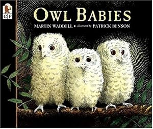 Owl Babies