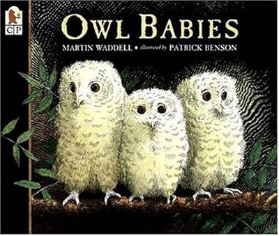Owl Babies