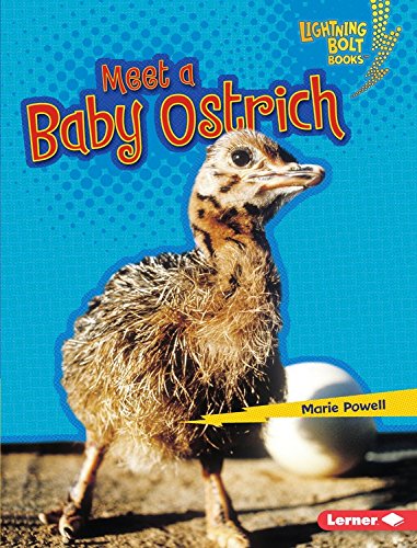 Meet a Baby Ostrich by Marie Powell
