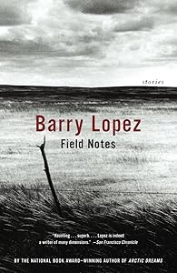 Field Notes: The Grace Note of the Canyon Wren