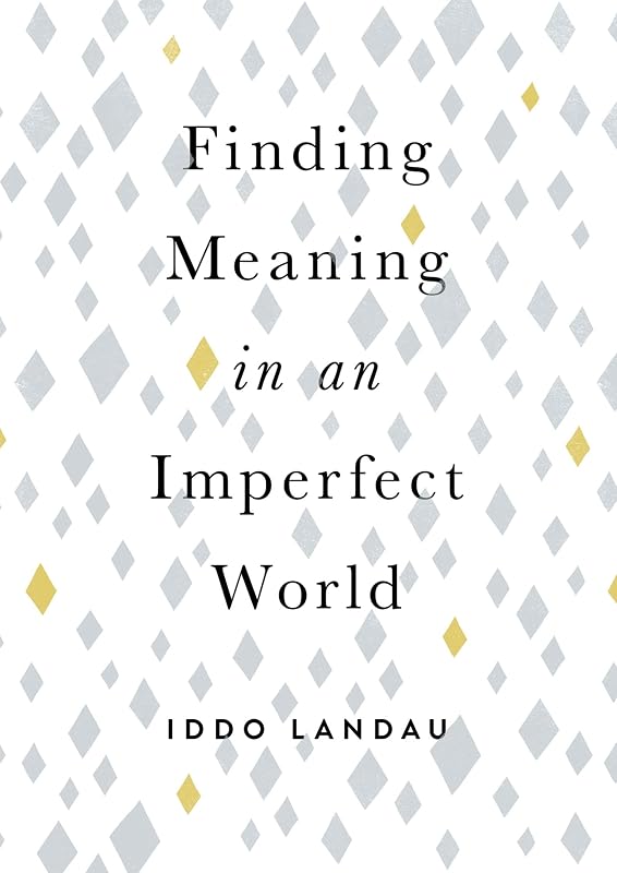 Finding Meaning in an Imperfect World by Iddo Landau