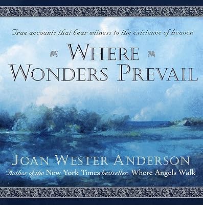 Where Wonders Prevail: True Accounts That Bear Witness to the Existence of Heaven