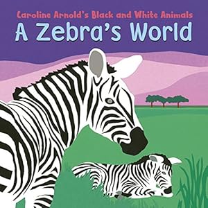 A Zebra's World
