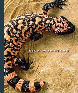 Gila Monsters (World of Reptiles)