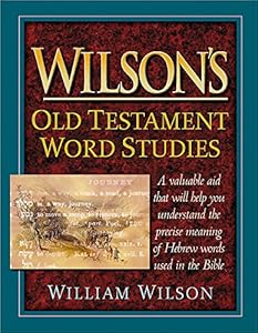 Wilson's Old Testament Word Studies