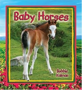 Baby Horses (It's Fun to Learn about Baby Animals)