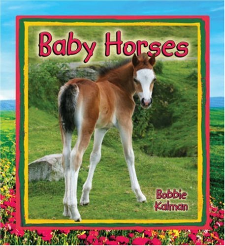 Baby Horses (It's Fun to Learn about Baby Animals) by Bobbie Kalman