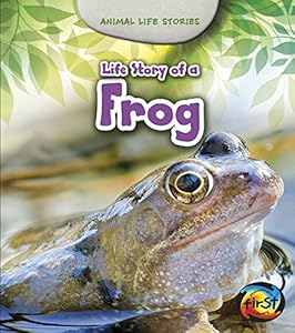 Life Story of a Frog