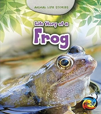 Life Story of a Frog