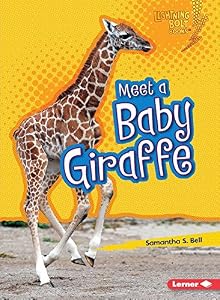 Meet a Baby Giraffe