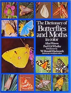 The Dictionary of Butterflies and Moths in Color by Allan Watson