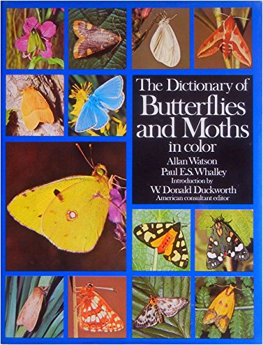 The Dictionary of Butterflies and Moths in Color by Allan Watson