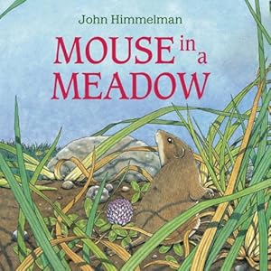 Mouse in a Meadow