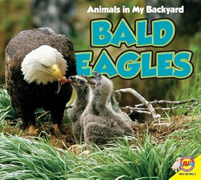 Bald Eagles with Code