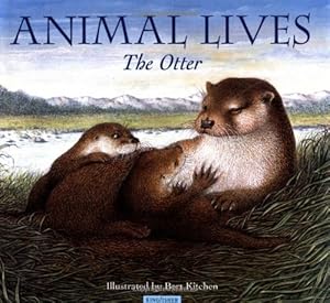 The Otter (Animal Lives)