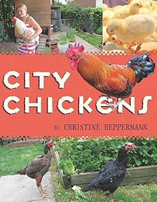 City Chickens