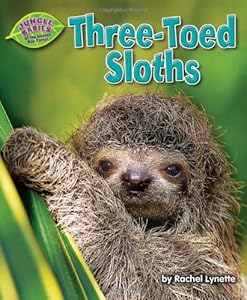 Three-Toed Sloths