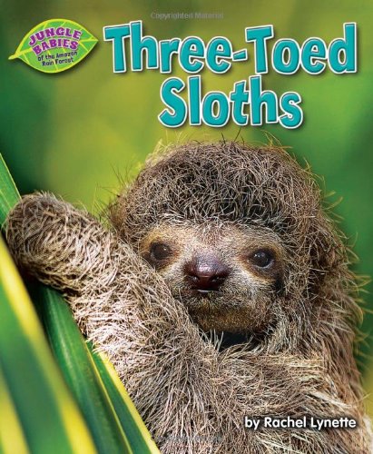 Three-Toed Sloths by Rachel Lynette