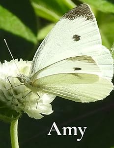 Amy's Journal