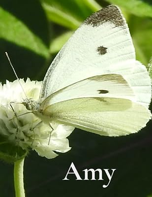 Amy's Journal