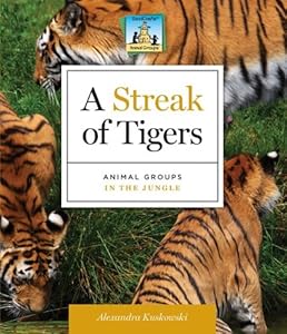 A Streak of Tigers: Animal Groups in the Jungle