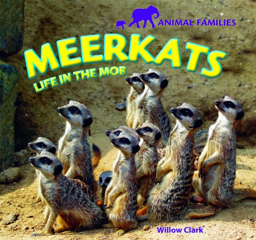 Meerkats: Life in the Mob by Willow Clark