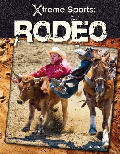 Rodeo by S. L. Hamilton