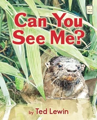 Can you see me?