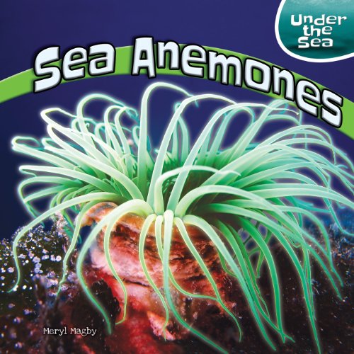 Sea Anemones by Meryl Magby