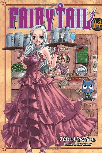 Fairy Tail, Vol. 14 by Hiro Mashima