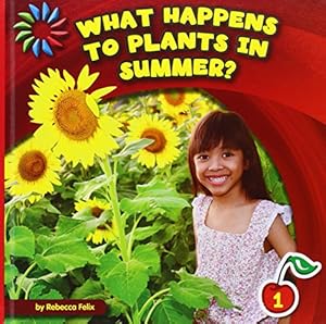 What Happens to Plants in Summer?