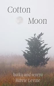 Cotton Moon: haiku and senryu by Barrie Levine